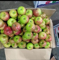buah apel malang manis segar 1kg