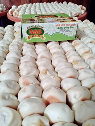 Bakpia Pathok 555 Original Fresh Asli Jogja Isi 20
