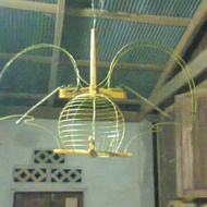 Jebok Rama Rama