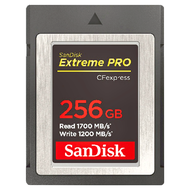 SanDisk 晟碟 Extreme PRO CFexpress Type B 記憶卡  256GB  1個