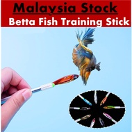 [MALAYSIA STOCK] Betta Stick Betta Fish Training Flare Stick Mainan Ikan Laga