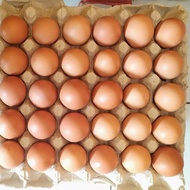 LOKAL PG - Local State Chicken Eggs Cianjur 30 HT eggs