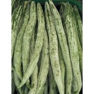 4 Snake Gourd Seeds Vegetable Seeds Garden Seeds Plant Seeds