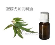 禾葉屋【芳療級純精油】藍膠尤加利精油1000ml 特價1900(薰香.按摩.手工皂)