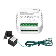 Tuya WiFi Smart Meter Digital Energy Meter 80A Current Transformer Solar PV Power Production Consump
