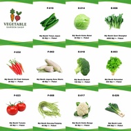 Biji Benih Sayur-Sayuran (Paket Besar) / Vegetable Seeds (Large Pack)/ 蔬菜种子(大包装）