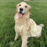 Big Dog Clothes Princess Dress Cute Romantic Skirt Pet Dog Medium Large Dog ins Cute Style
