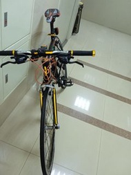 二手平把公路車