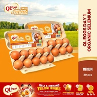 QL Eggs Day 1 Organic Selenium - Medium 20pcs Fresh Egg Farm Fresh Egg Telur Segar