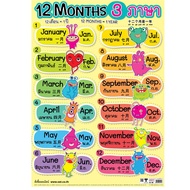 Poster 12 MONTHS/3 Languages Thai-Chinese-English EQ-445 Paper Teaching Media