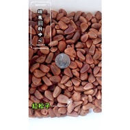 Big Red Pine Nuts/Low Temperature Baked Nuts/Parrot Snacks