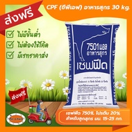 [ส่งฟรีไม่ต้องใช้โค้ด!!] CPF อาหารสุกร เซฟฟีด 7501L โปรตีน 20% ขนาด 30 kg. (ลูกสุกร นน. 15-25 กก.)