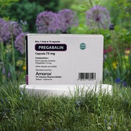 Kesehatan Pregabalinn Capsule 75 mg Box 1 s