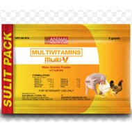 MULTI V 6 grams