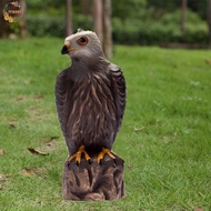 PEWANYMX Garden Eagle Statue, Waterproof Sturdy Eagle Repellents Statue, Creative Resin Crafts Reali