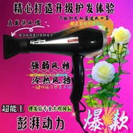 Hair Dryer Hair Dryer Hair Salon Dedicated Hair Dryer Simple Hair Dryer Hair Dryer Hairdressing Supp