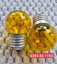 Bóng đèn 5W dây tóc (sợi đốt) - thắp sáng sưởi ấm/úm gia cầm thí nghiệm (bảo hành chính hãng - Sỉ gi