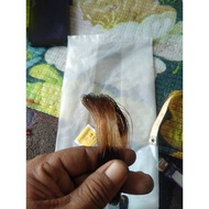 TALI TANGSI 25LBS ORIGINAL WARNA COKLAT CANTIK JUAL1GULUNG 37 METER