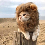 Topi Kepala Singa Kucing Comel Alat Foto Haiwan Peliharaan Lucu Aksesori Kostum Anak Anjing