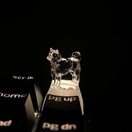 鍵帽, 狗, 日本狗, 透明, 清晰, 遊戲, 鍵盤, cherry MX