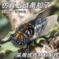 Adorable Crawling Cicada Toy | Fun Wind-Up Mechanical Bug For Kids | Educational Gift Idea