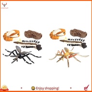 【pwlydc1g】Simulation Animals Growth Cycle Mosquito Insect Growth Cycle Model Kids Educate Cognitive 