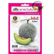 5Biji Benih Melon Kobori F1 Hybrid / Melon Manis Kobori / Cantaloupe 🍈 Seeds / Cap Advance Seed