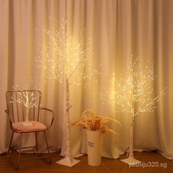 New Year Decoration Pak Yeuk Tree LED Light Decoration Christmas Decoration ELLI