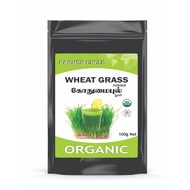 ORGANIC WHEATGRASS POWDER 100 GRAMS (100gm) pack