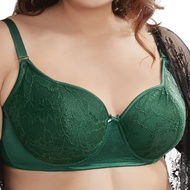 AXXX DAWN WIRED BRA (SIZE : 34B SEHINGGA 42D)