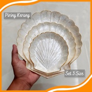 Shell Plate Set of 3 Unique Serving Plates Shell Plate Fan Shell Plate KK02
