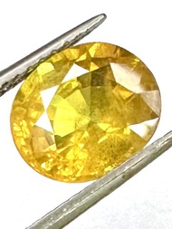 ไพลินเหลือง 4.75cts 10.5x9x5.7mm รูปไข่ หินธรรมชาติ 100% Yellow sapphire 4.75cts 10.5x9x5.7mm oval s