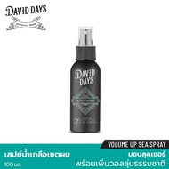 David Days Des Volume Up C Spray 100 ml DSS01
