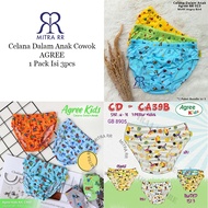 Children's CD Agree Kids CA40 AK023 CA39 AG101 / Boys Underwear Random Picture / Boys CD (3Pcs)