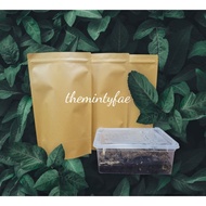 Isopod Substrate - Isosoil Forest Floor Complete Bioactive Substrate - enriched with leaf litter and