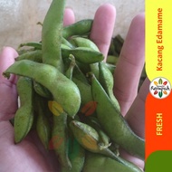 LOKAL Edamame / Fresh Edamame Nuts 1kg Local Plantation Semesta spices