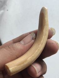 PIPA ONCE GG LENGKUNG LAWASAN