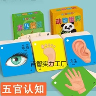 Children's Early Education Books - Tear-Resistant Early Education Cards0-6Early education cognitive 