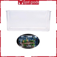 WIN Fish Aquarium for Axolotl Salamanders Amphibians Fishkeeping Enthusiasts Clear Fish Habitat for 