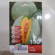 [READY STOCK] 130 Rock Melon Rocky🍈🍈🍈 F1 Hybrid 10 seed