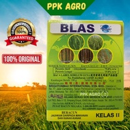 100G BLAS BRIGHTONMAX Racun Kulat merawat Penyakit Karah Padi