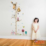 CQ411 Wallpaper Meteran tinggi badan anak pengukur tinggi badan alat u