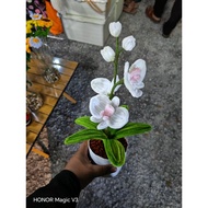 orchid in pot fuzzy wire