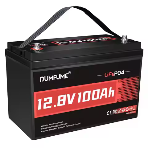 12V 100Ah LiFePO4 Lithium Battery Built-in 100A BMS, Group 31 Rechargeable Battery 6000+ Cycles 1280