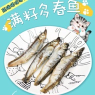 (REPACK) CAT SNACKS FREEZE DRIED SHISHAMO FISH (SMELT FISH) 10gm, FISH WITH ROES. No salt , low fat