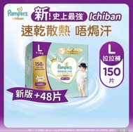 Pampers Ichiban Air-Max L 大碼拉拉褲