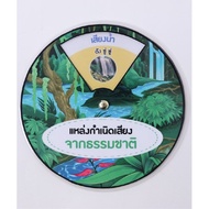 Spinning Wheel Natural Sound Source