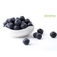 JEREMY1 Artificial Blueberry Crafts Foam Simulation Blueberry Fruit Model DIY Party Garden Fake Frui