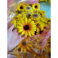 10 sunflowers, size 10cm