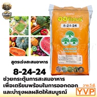 ปุ๋ยเกล็ด 8-24-24 เหลือง สูตรเร่งสะสมอาหาร ออกดอก ปุ๋ยเกล็ดละลายน้ำ ปุ๋ยละลายน้ำ ปุ๋ยระบบน้ำ ปุ๋ยแตง